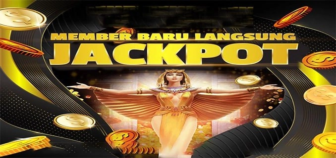 Bos Online Alternatif